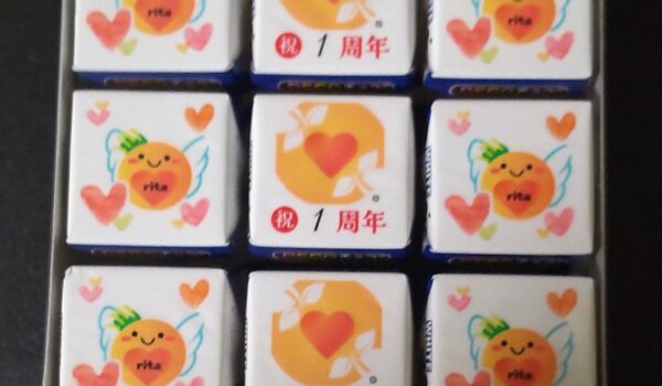 ２年目(2025.9.1～)